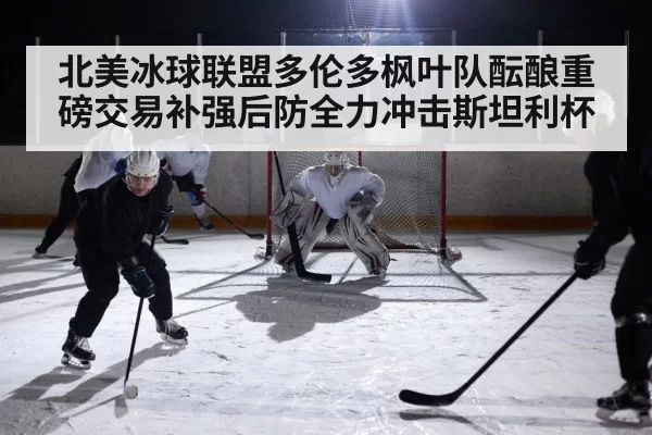 北美冰球联盟多伦多枫叶队酝酿重磅交易补强后防全力冲击斯坦利杯