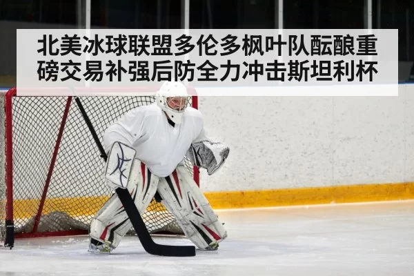 hockey defenseman